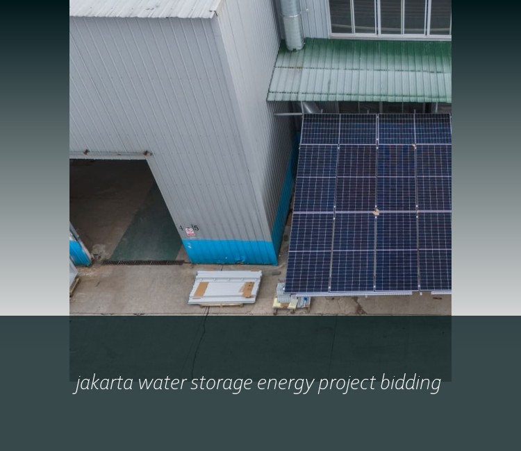 jakarta water storage energy project bidding