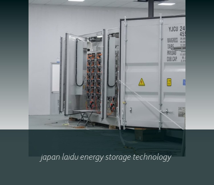 japan laidu energy storage technology