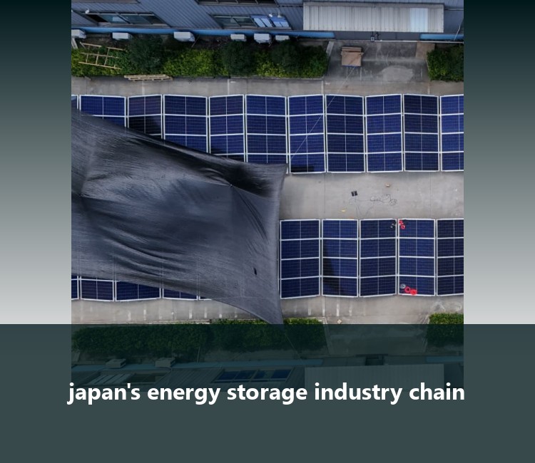 japan's energy storage industry chain