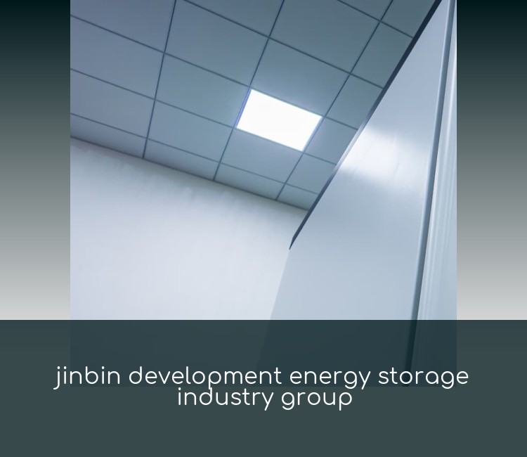 jinbin development energy storage industry group