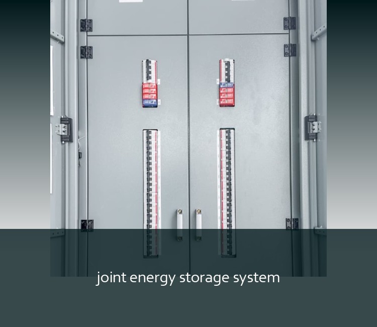 joint energy storage system