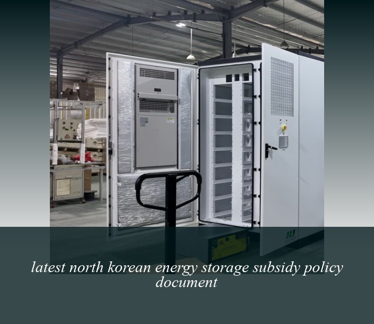 latest north korean energy storage subsidy policy document