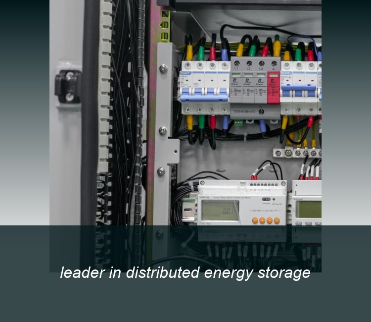 leader in distributed energy storage