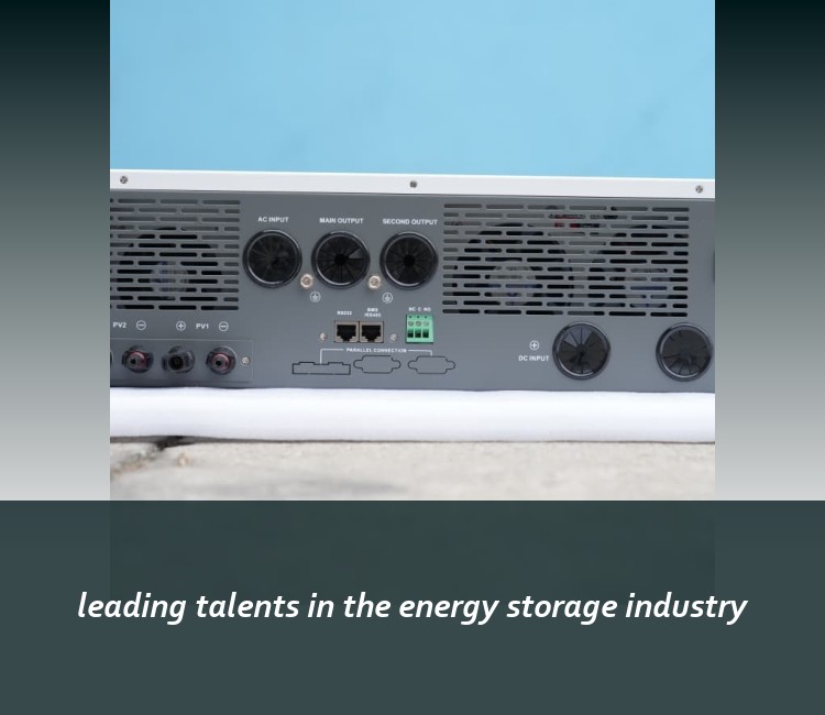 leading talents in the energy storage industry