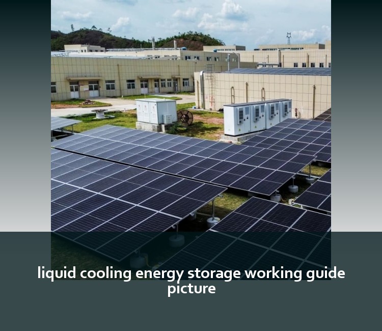 liquid cooling energy storage working guide picture