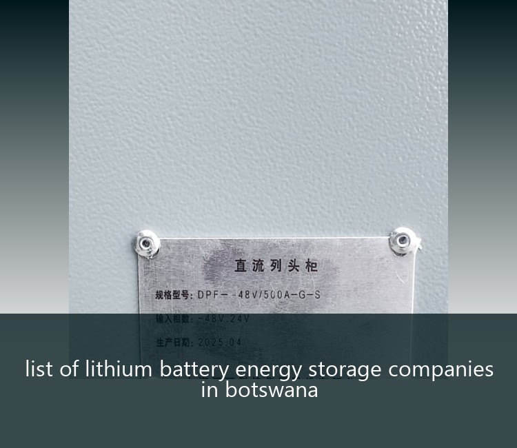 list of lithium battery energy storage companies in botswana