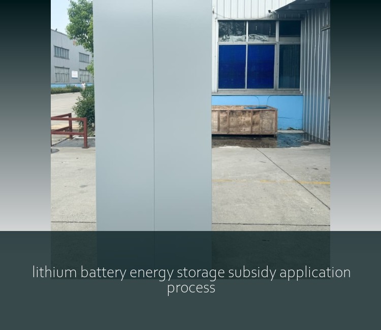lithium battery energy storage subsidy application process