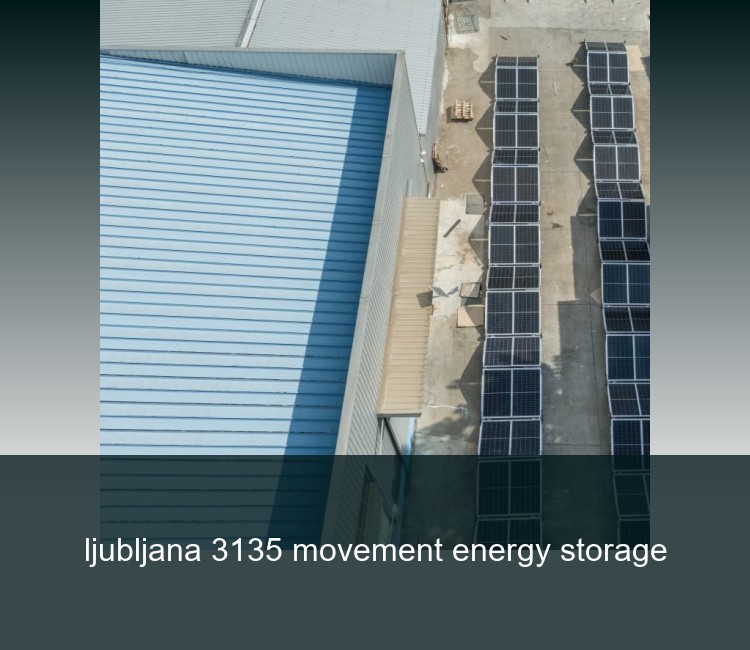 ljubljana 3135 movement energy storage