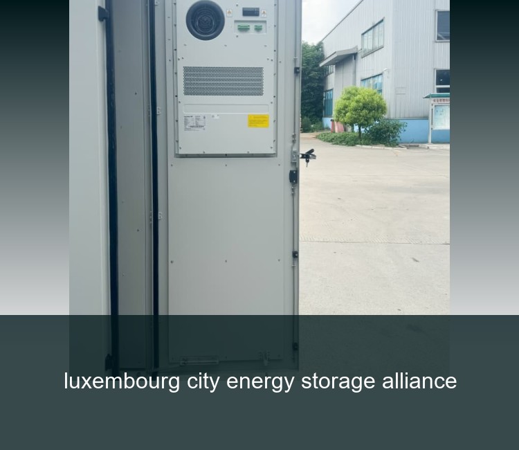 luxembourg city energy storage alliance