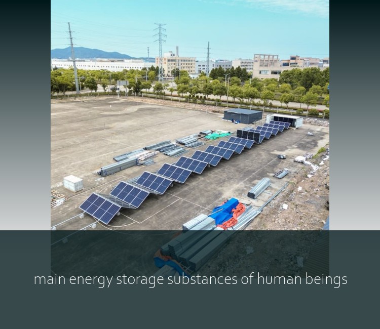 main energy storage substances of human beings