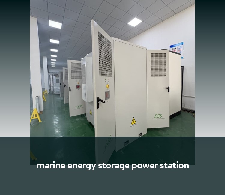 marine energy storage power station