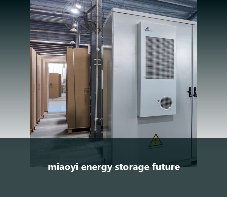 miaoyi energy storage future