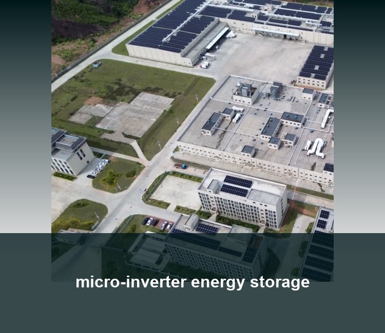 micro-inverter energy storage