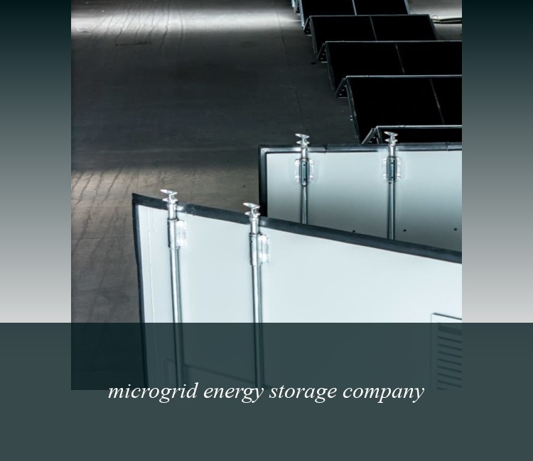 microgrid energy storage company