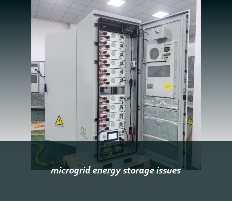 microgrid energy storage issues