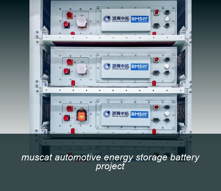 muscat automotive energy storage battery project