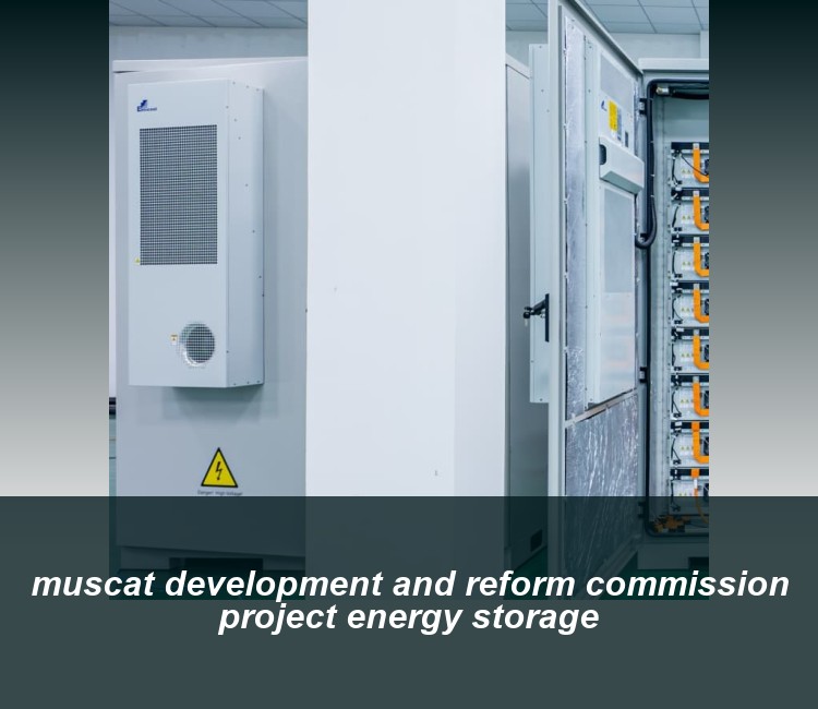 muscat development and reform commission project energy storage