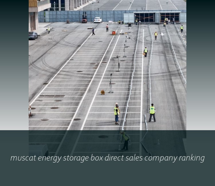 muscat energy storage box direct sales company ranking