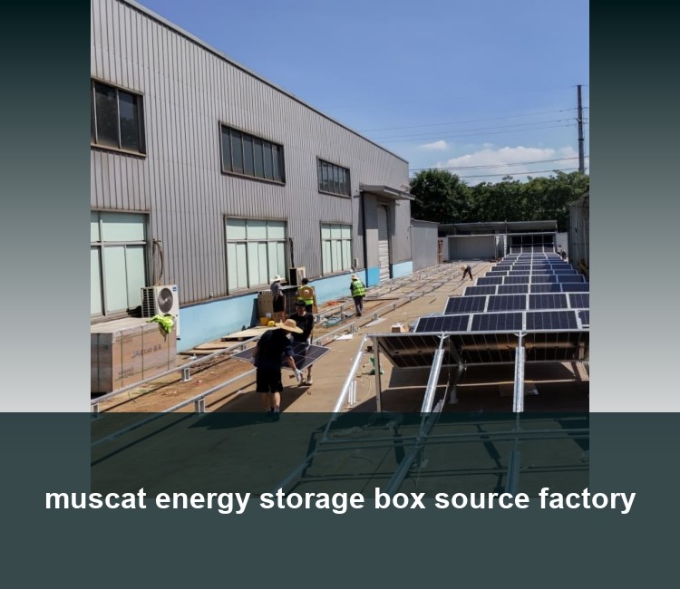 muscat energy storage box source factory