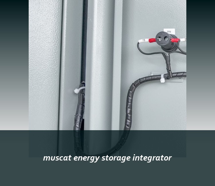 muscat energy storage integrator