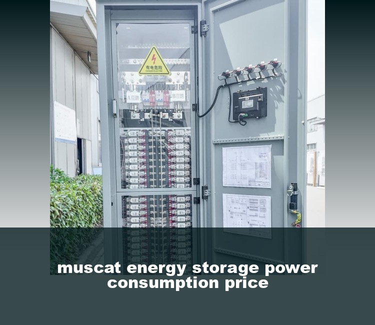 muscat energy storage power consumption price