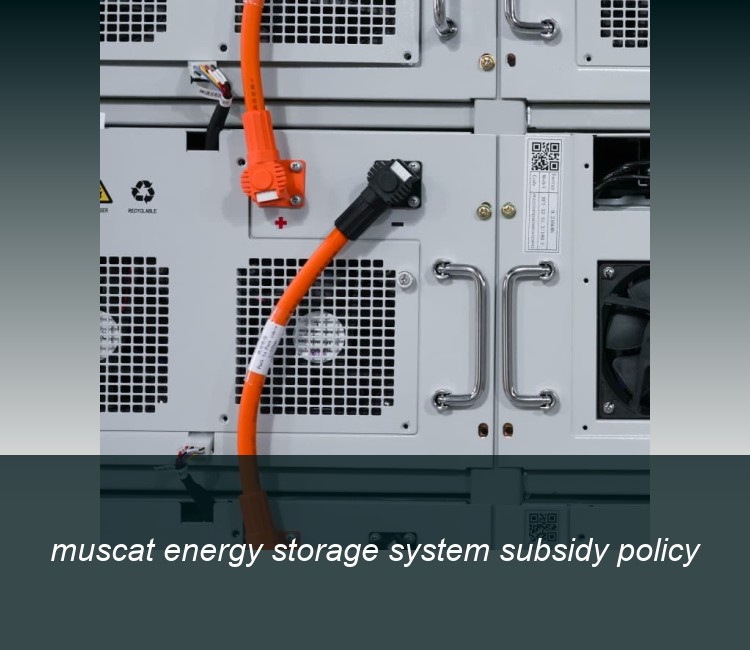 muscat energy storage system subsidy policy