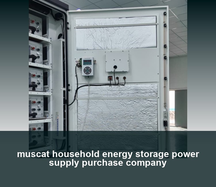 muscat household energy storage power supply purchase company