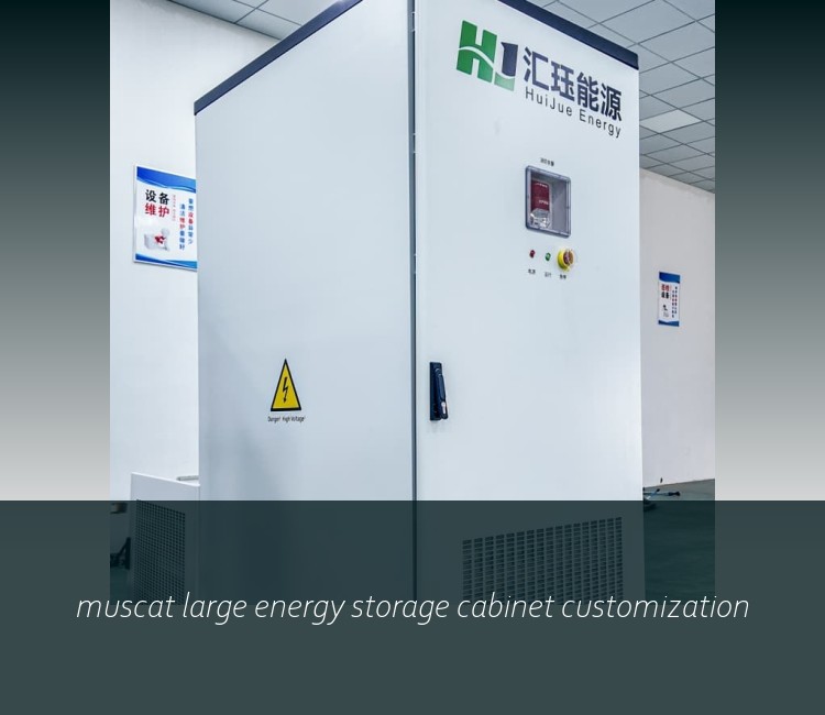 muscat large energy storage cabinet customization