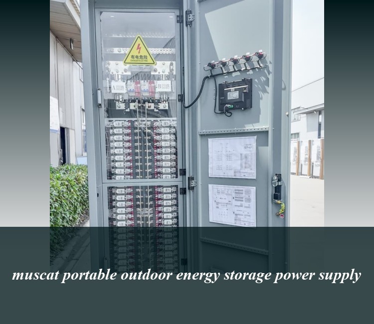 muscat portable outdoor energy storage power supply