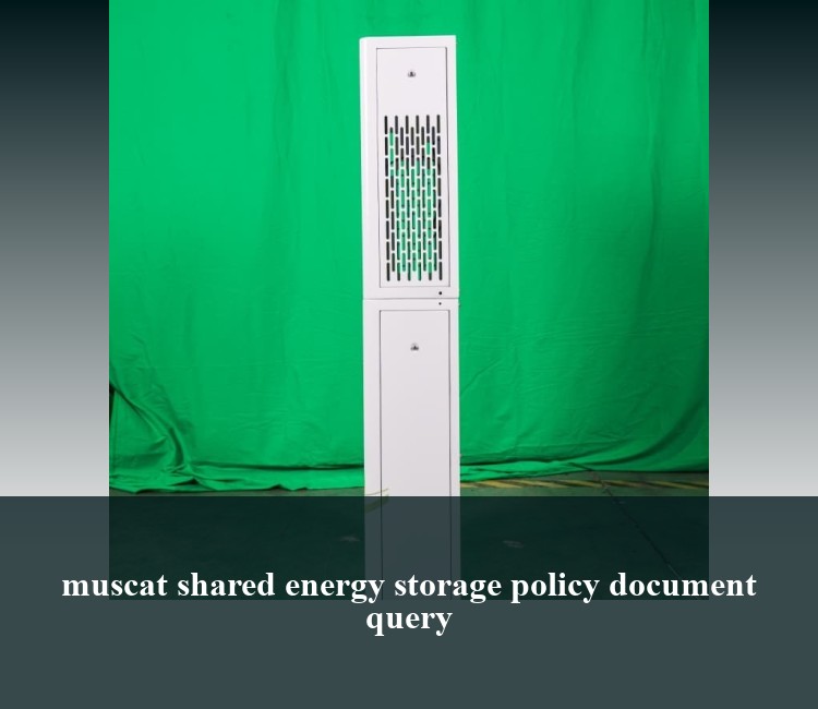 muscat shared energy storage policy document query
