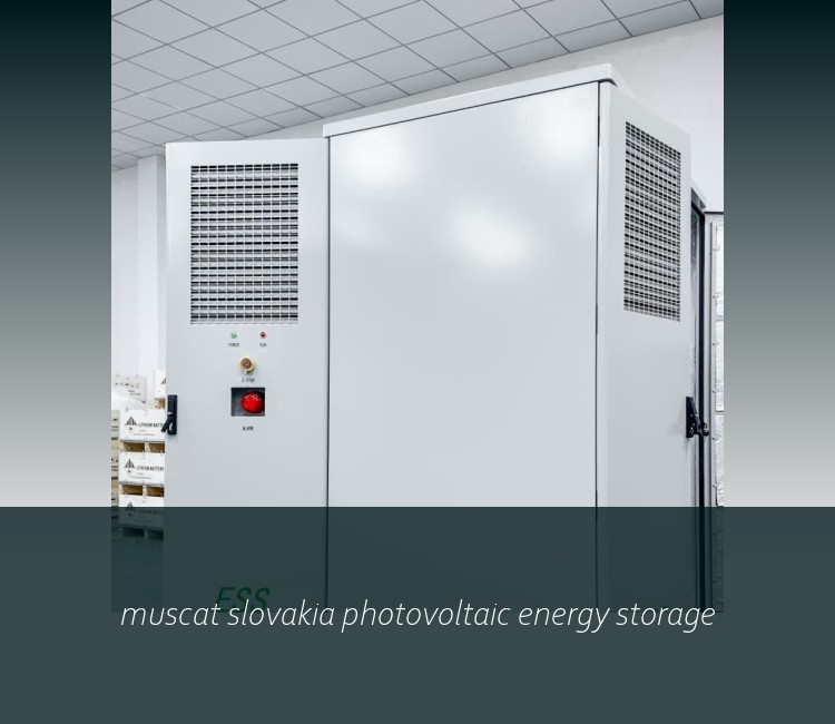 muscat slovakia photovoltaic energy storage
