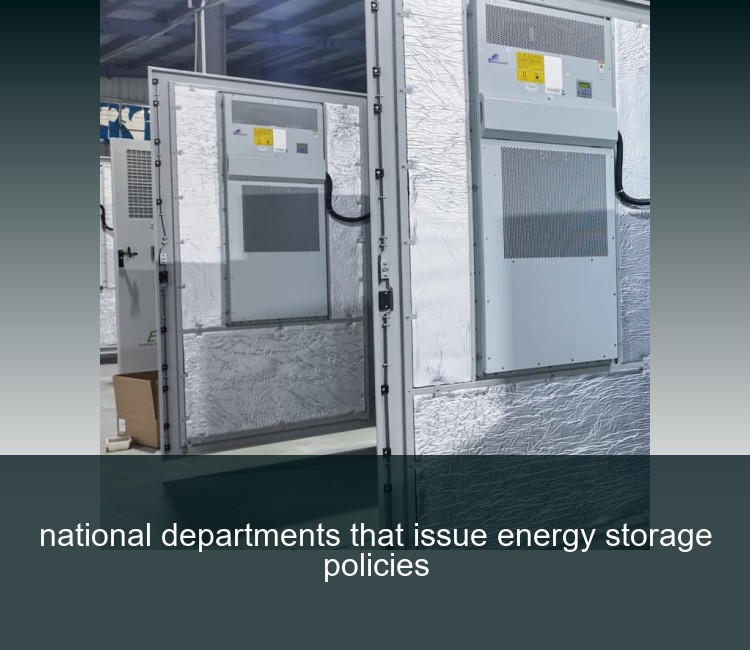 national departments that issue energy storage policies