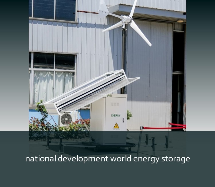 national development world energy storage