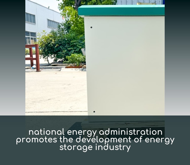 national energy administration promotes the development of energy storage industry