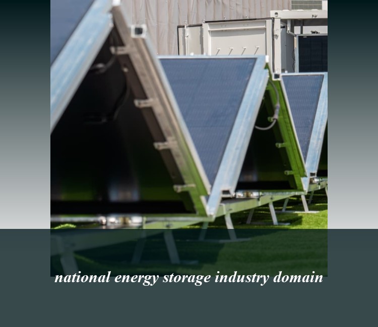national energy storage industry domain