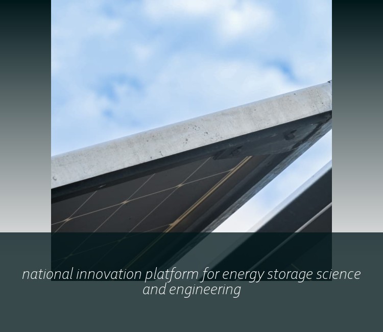 national innovation platform for energy storage science and engineering