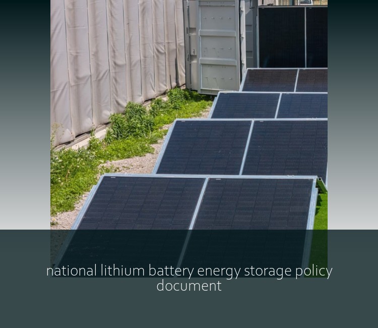 national lithium battery energy storage policy document