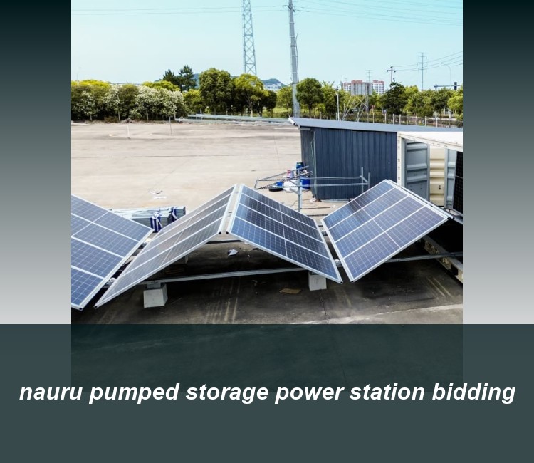 nauru pumped storage power station bidding