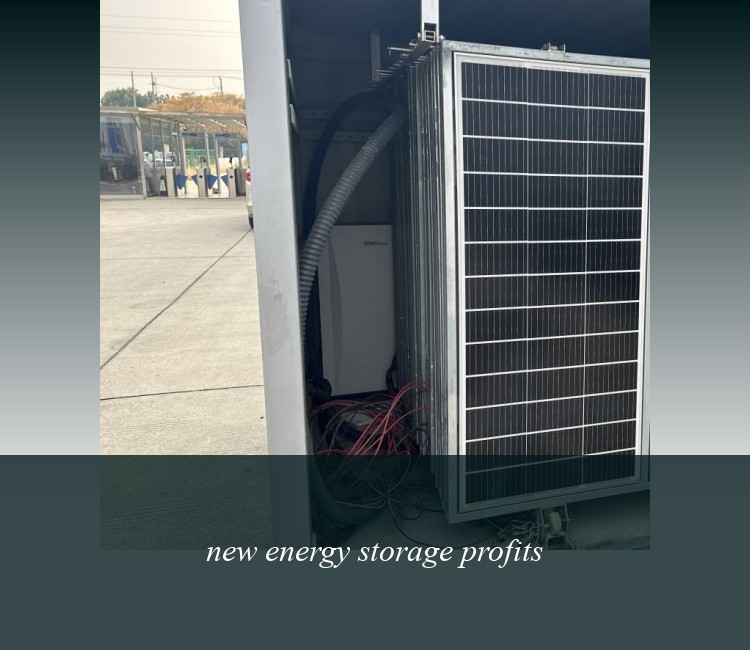 new energy storage profits