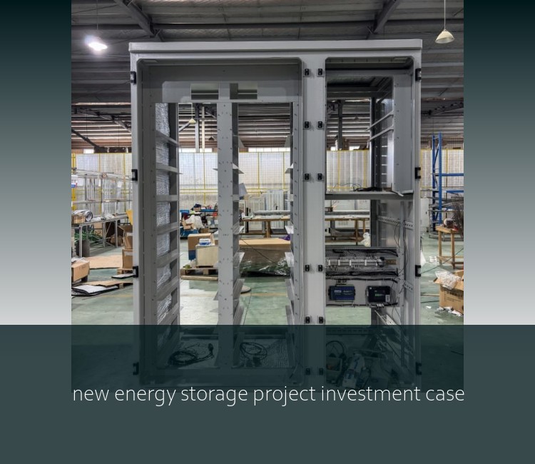 new energy storage project investment case