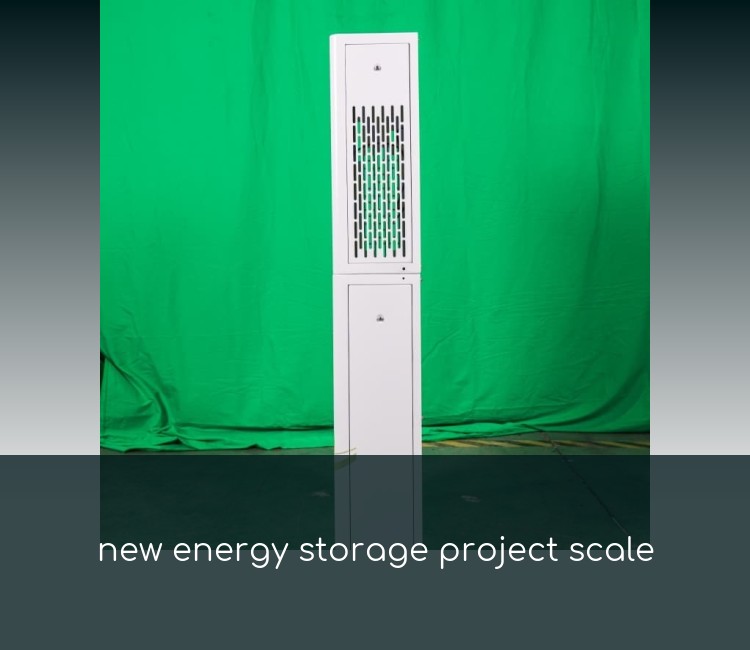 new energy storage project scale