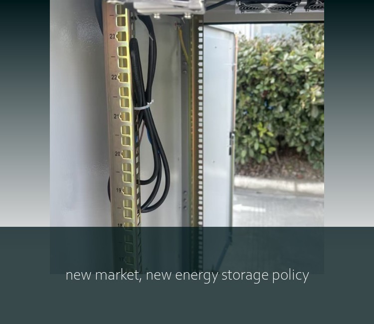 new market, new energy storage policy