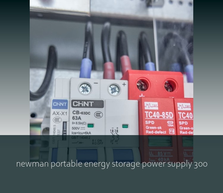 newman portable energy storage power supply 300