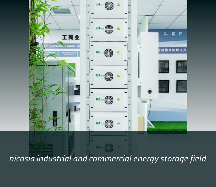 nicosia industrial and commercial energy storage field