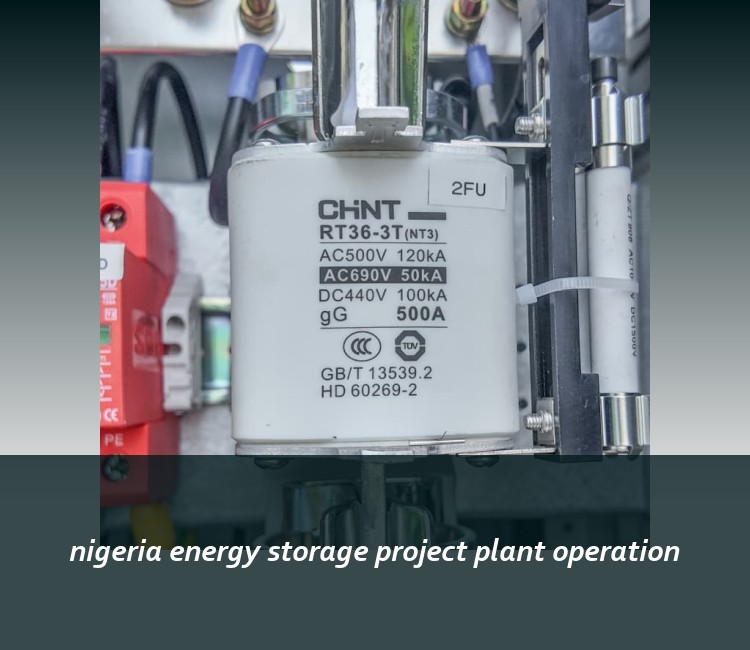 nigeria energy storage project plant operation