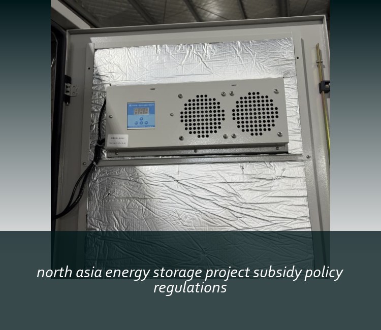 north asia energy storage project subsidy policy regulations