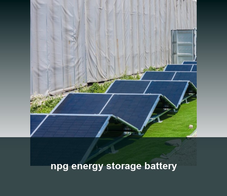 npg energy storage battery
