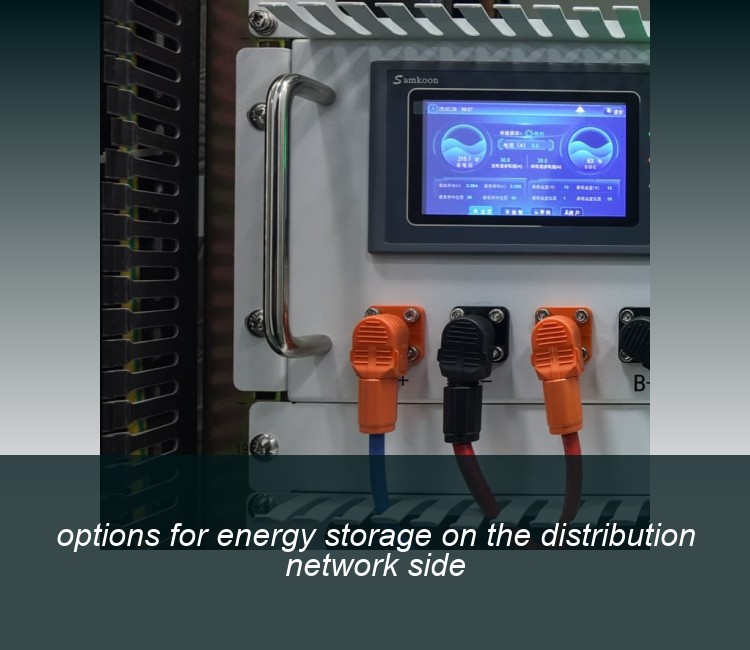 options for energy storage on the distribution network side