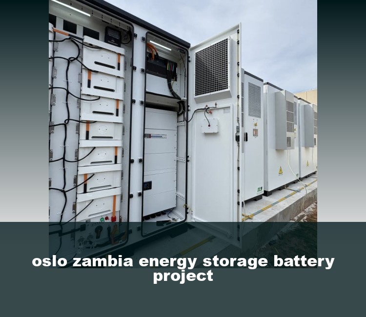 oslo zambia energy storage battery project