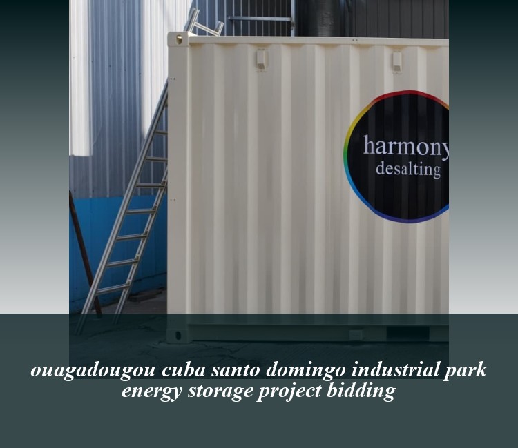 ouagadougou cuba santo domingo industrial park energy storage project bidding